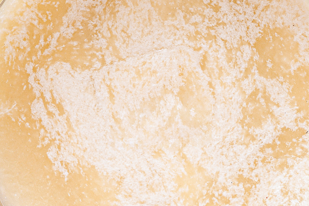 Raw Shea Butter (8.4 oz)